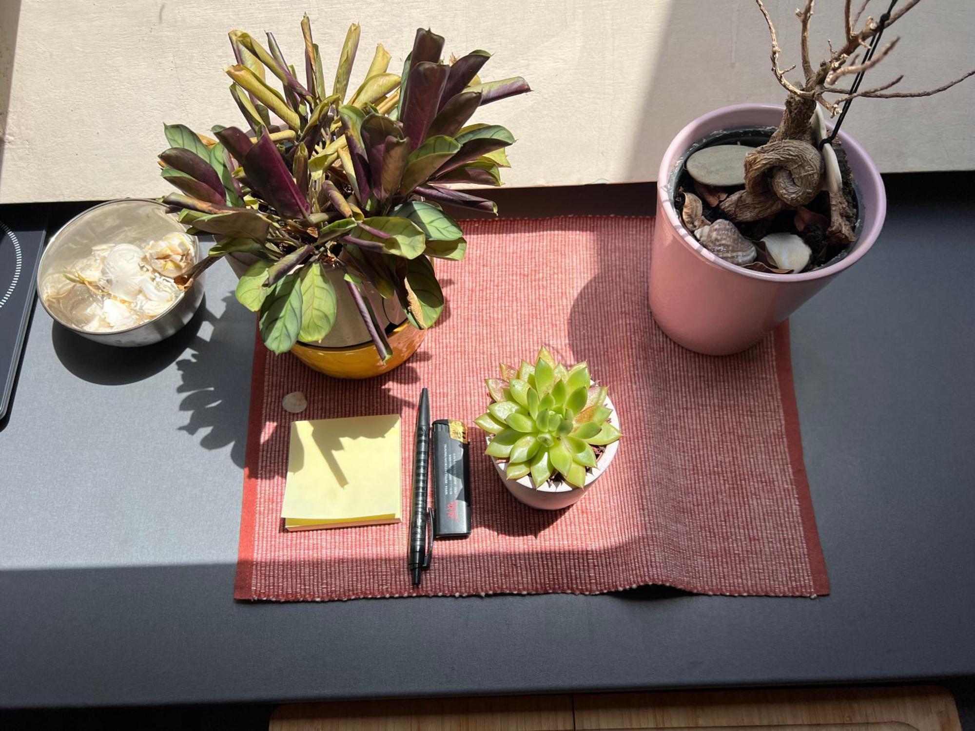 Cosy Rooftop In Center София Екстериор снимка