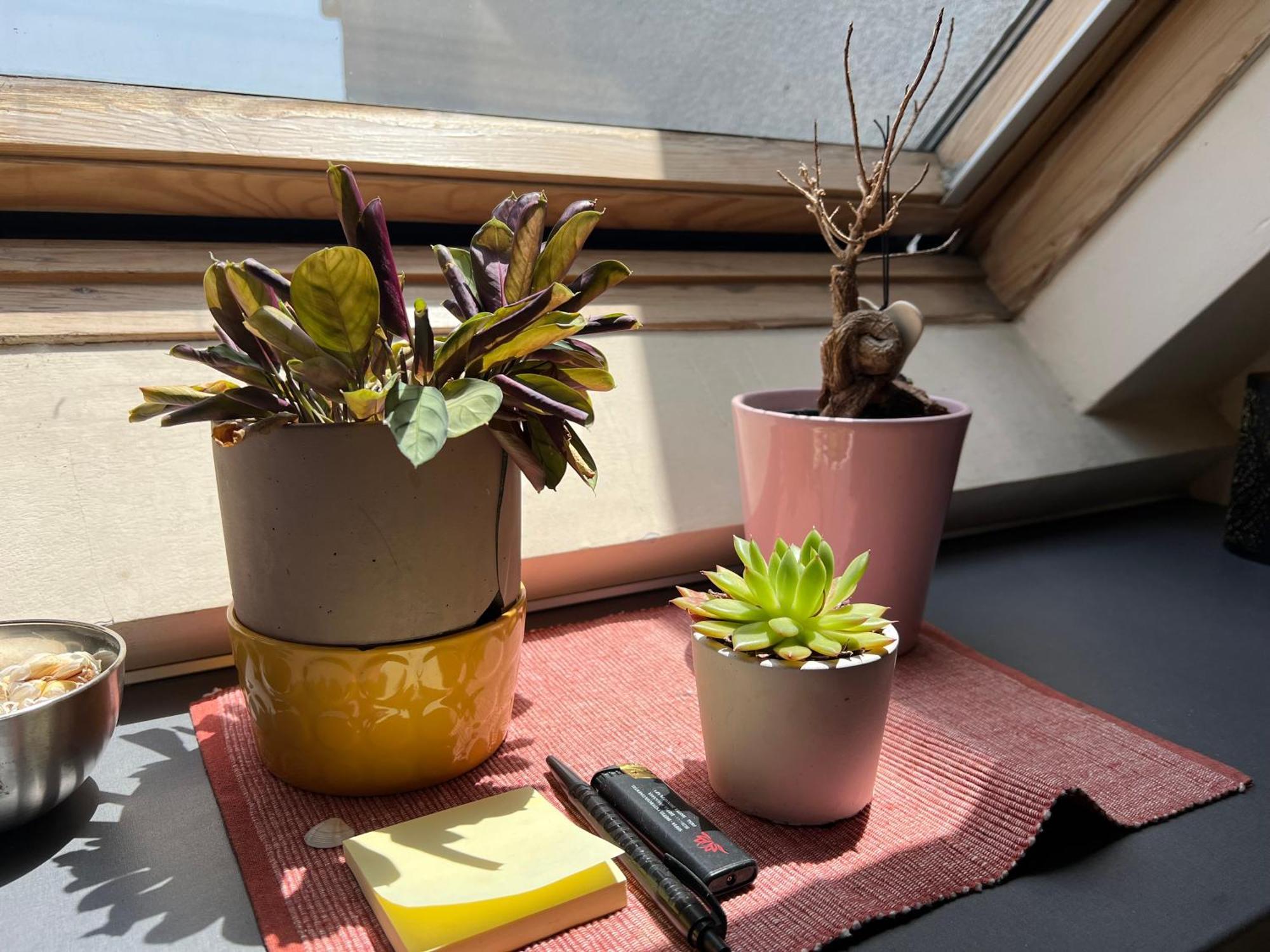 Cosy Rooftop In Center София Екстериор снимка